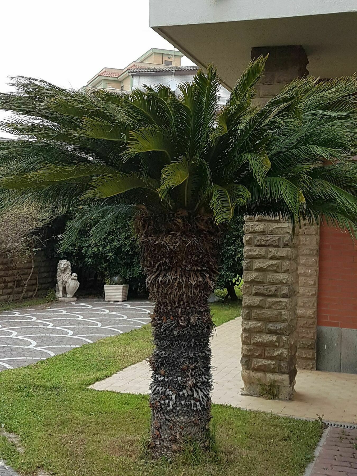 Myricae Rooms Affittacamere No Late Arrival Fiumicino Bagian luar foto